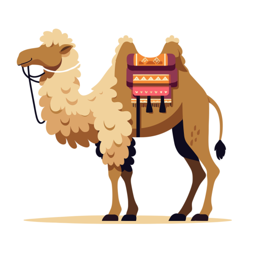 (ID) : Seekor unta dengan pelana
(EN) : A camel with saddle
(AR) : الجمل عليه رَحْل

Lisensi: Free for Commercial 
Gambar ini boleh digunakan untuk keperluan pribadi dan komersial.

License: Free for Commercial
This graphic is permitted for use in both personal and commercial purposes.

ضوابط استخدام المحتوى:
يُسمح باستخدام الصورة لأغراض شخصية ولأغراض تجارية.