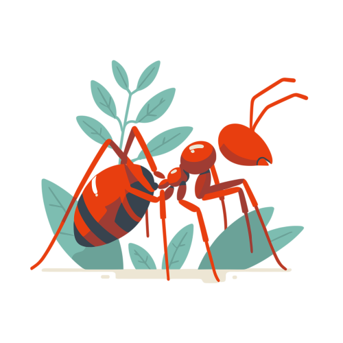 (ID): Semut merah
(EN): Red ant
(AR): نملة حمراء

Lisensi: Free for Commercial 
Gambar ini boleh digunakan untuk keperluan pribadi dan komersial.

License: Free for Commercial
This graphic is permitted for use in both personal and commercial purposes.

ضوابط استخدام المحتوى:
يُسمح باستخدام الصورة لأغراض شخصية ولأغراض تجارية.