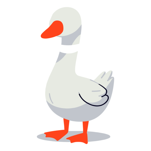 (ID): Angsa
(EN): Goose
(AR): وزّة

Lisensi: Free for Commercial 
Gambar ini boleh digunakan untuk keperluan pribadi dan komersial.

License: Free for Commercial
This graphic is permitted for use in both personal and commercial purposes.

ضوابط استخدام المحتوى:
يُسمح باستخدام الصورة لأغراض شخصية ولأغراض تجارية.