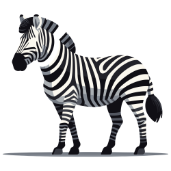 Zebra-1