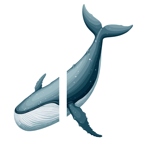 (ID): Paus
(EN): Whale
(AR): حوت

Lisensi: Free for Commercial 
Gambar ini boleh digunakan untuk keperluan pribadi dan komersial.

License: Free for Commercial
This graphic is permitted for use in both personal and commercial purposes.

ضوابط استخدام المحتوى:
يُسمح باستخدام الصورة لأغراض شخصية ولأغراض تجارية.