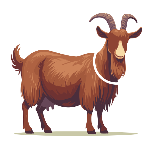 (ID): Kambing
(EN): Goat
(AR): ماعز

Lisensi: Free for Commercial 
Gambar ini boleh digunakan untuk keperluan pribadi dan komersial.

License: Free for Commercial
This graphic is permitted for use in both personal and commercial purposes.

ضوابط استخدام المحتوى:
يُسمح باستخدام الصورة لأغراض شخصية ولأغراض تجارية.