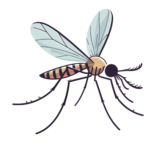 (ID): Nyamuk
(EN): Mosquito
(AR): بعوضة

Lisensi: Free for Commercial 
Gambar ini boleh digunakan untuk keperluan pribadi dan komersial.

License: Free for Commercial
This graphic is permitted for use in both personal and commercial purposes.

ضوابط استخدام المحتوى:
يُسمح باستخدام الصورة لأغراض شخصية ولأغراض تجارية.