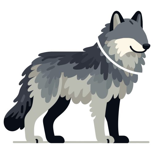 (ID): Serigala
(EN): Wolf
(AR): ذِئب

Lisensi: Free for Commercial 
Gambar ini boleh digunakan untuk keperluan pribadi dan komersial.

License: Free for Commercial
This graphic is permitted for use in both personal and commercial purposes.

ضوابط استخدام المحتوى:
يُسمح باستخدام الصورة لأغراض شخصية ولأغراض تجارية.