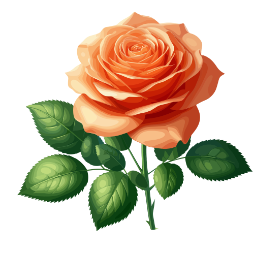 (ID): Bunga mawar
(EN): Roses
(AR):

Lisensi: Free for Commercial 
Gambar ini boleh digunakan untuk keperluan pribadi dan komersial.

License: Free for Commercial
This graphic is permitted for use in both personal and commercial purposes.

ضوابط استخدام المحتوى:
يُسمح باستخدام الصورة لأغراض شخصية ولأغراض تجارية.